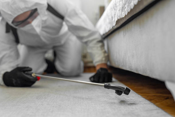 Professional Bed Bug Control technician working in Lisbon, IA