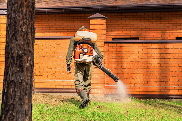 Trusted Cockroach Control service in Lisbon, IA - Nex Pest Control